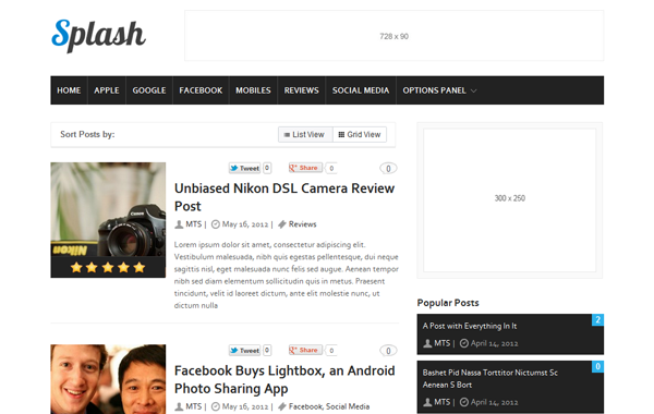 Splash WordPress Theme