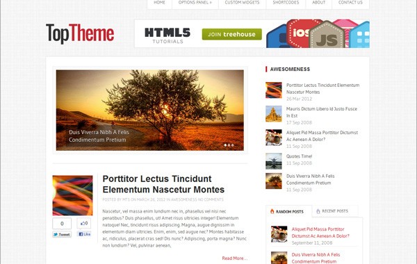 Top WordPress Theme
