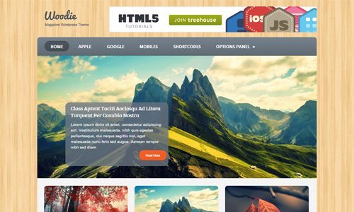 Woodie WordPress Theme