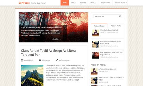 SoftPress WordPress Theme