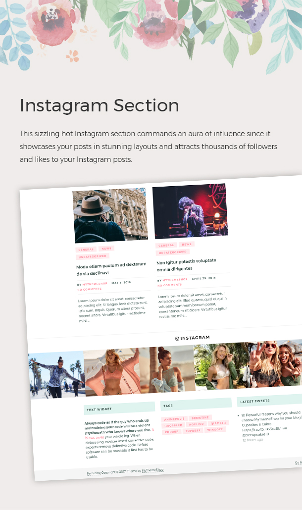 Instagram Section