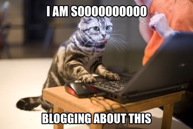 cat-blogger