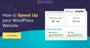 WordPress Speed Optimization